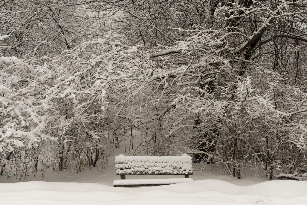 Snow covers trees and a bench in Liberty State Park in Jersey City during a winter storm on Thursday, March 5, 2015. Reena Rose Sibayan | The Jersey Journal