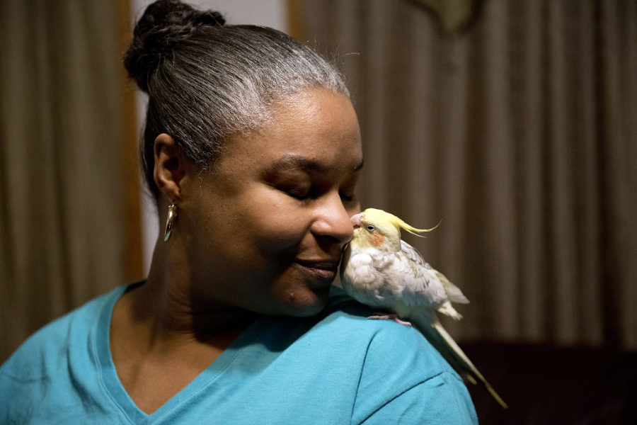 Cora Kerton, seen here at home in Bayonne with pet cockatiel, Koi, on Tuesday, Dec. 15, 2015, is a Jersey City police officer who was paralyzed after an accident in March and is struggling to pay her bills. A friend has set up an online fundraiser to help get her a new bed. Reena Rose Sibayan | The Jersey Journal